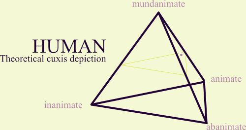 Visual representation of a cuxis.